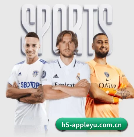 乐鱼app适应版围绕看球场景设计的核心服务