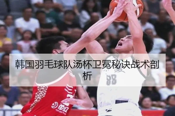 韩国羽毛球队汤杯卫冕秘诀战术剖析
